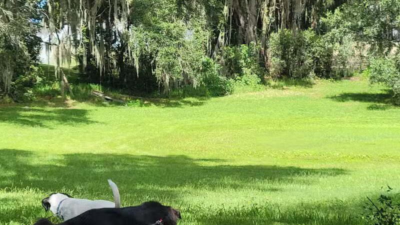 P.E.A.R. Park "Gateway" - Leesburg, FL