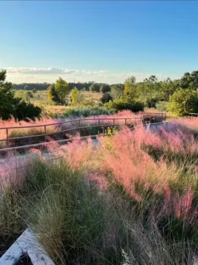 P.E.A.R. Park "Gateway" - Leesburg, FL
