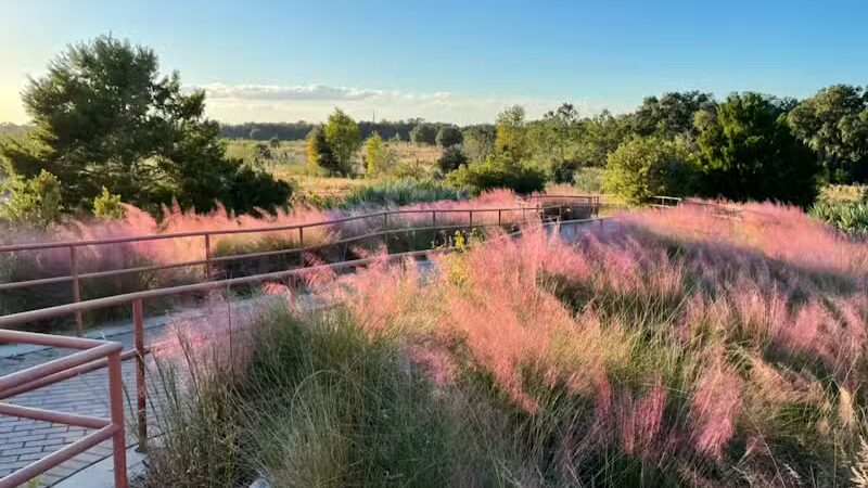 P.E.A.R. Park "Gateway" - Leesburg, FL