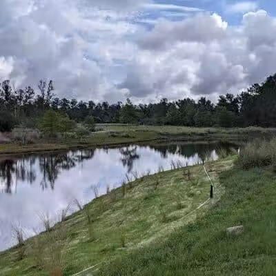 Brunswick Forest Boardwalk - Leland, NC