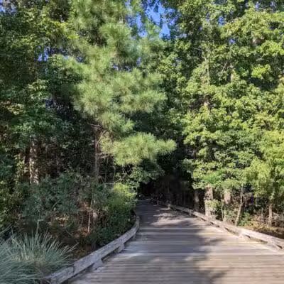 Brunswick Forest Boardwalk - Leland, NC