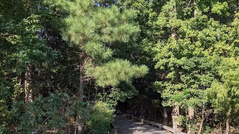 Brunswick Forest Boardwalk - Leland, NC