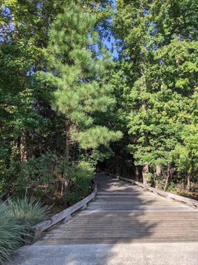 Brunswick Forest Boardwalk - Leland, NC