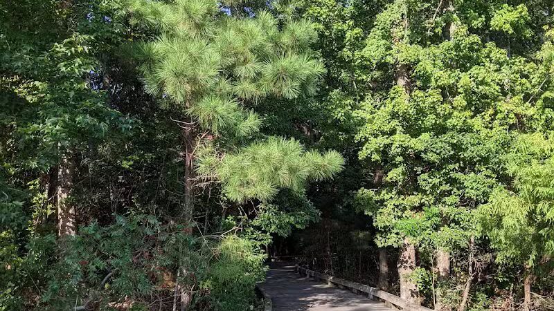 Brunswick Forest Boardwalk - Leland, NC