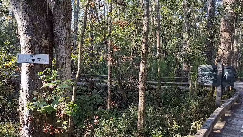 Brunswick Forest Boardwalk - Leland, NC
