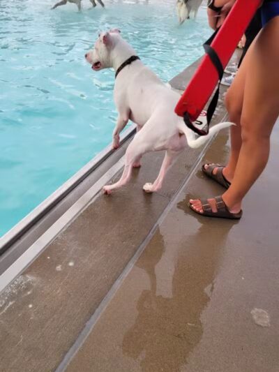 Ad Astra Park - Lenexa, KS