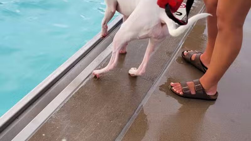 Ad Astra Park - Lenexa, KS