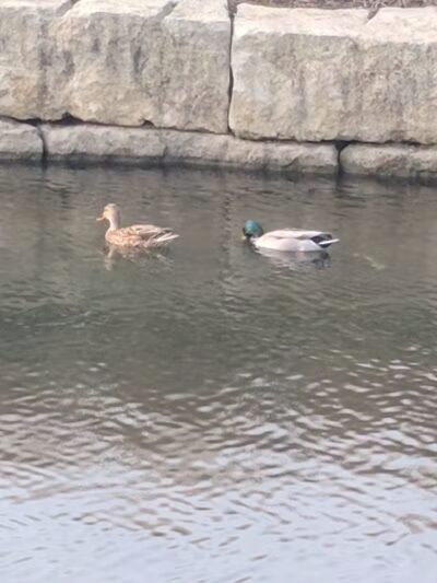 Central Green Park - Lenexa, KS