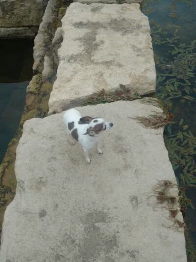 Central Green Park - Lenexa, KS