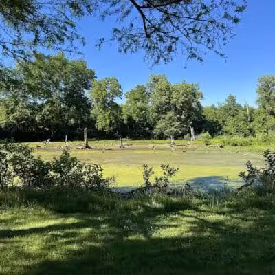 Mill Creek Streamway Park - Lenexa, KS