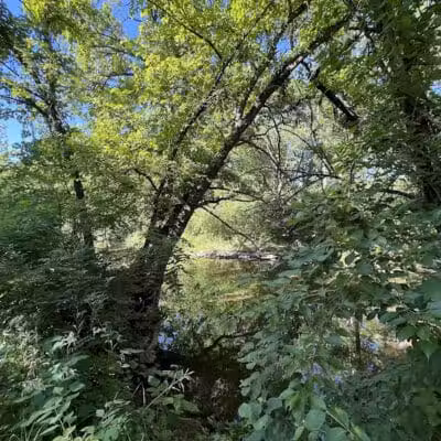 Mill Creek Streamway Park - Lenexa, KS