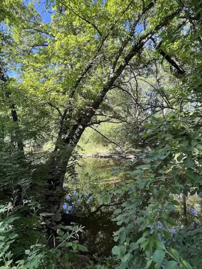 Mill Creek Streamway Park - Lenexa, KS