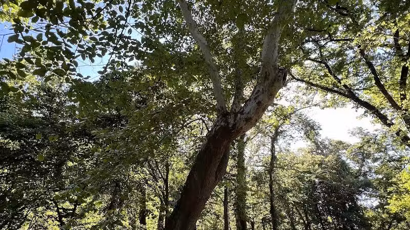 Mill Creek Streamway Park - Lenexa, KS