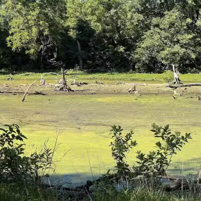 Mill Creek Streamway Park - Lenexa, KS