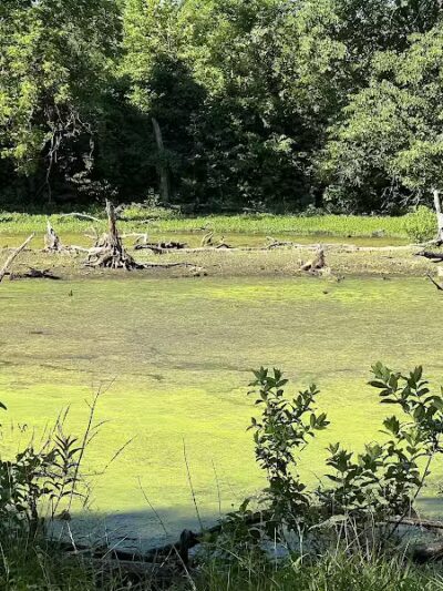 Mill Creek Streamway Park - Lenexa, KS