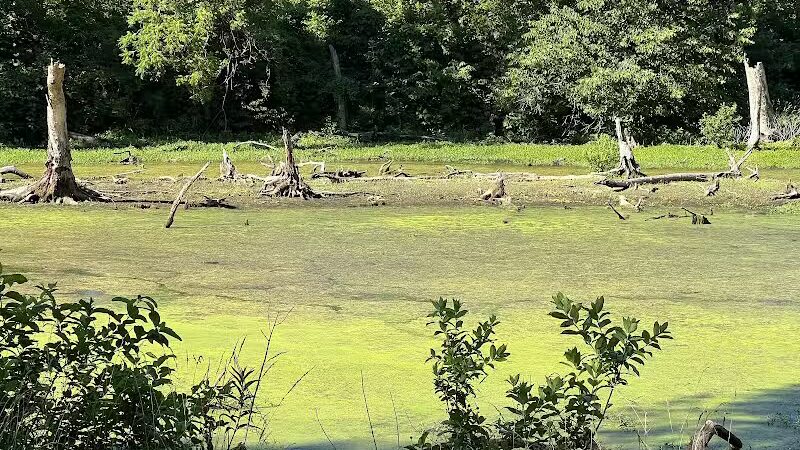 Mill Creek Streamway Park - Lenexa, KS