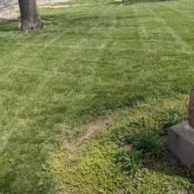 Bradshaw Park - Lenexa, KS