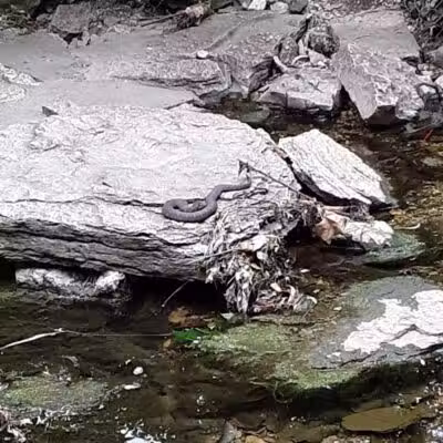 Flat Rock Creek Park - Lenexa, KS