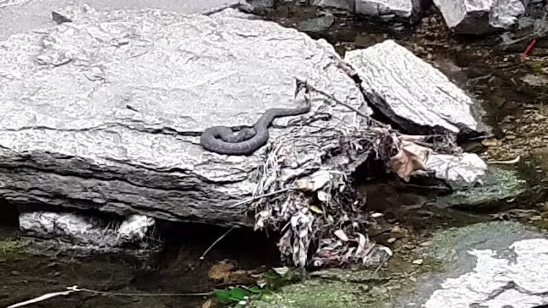 Flat Rock Creek Park - Lenexa, KS