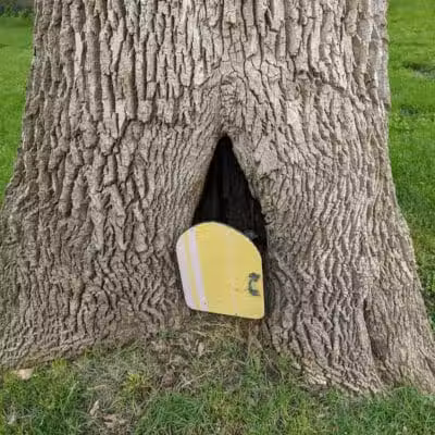 Green Prairie Park - Lenexa, KS
