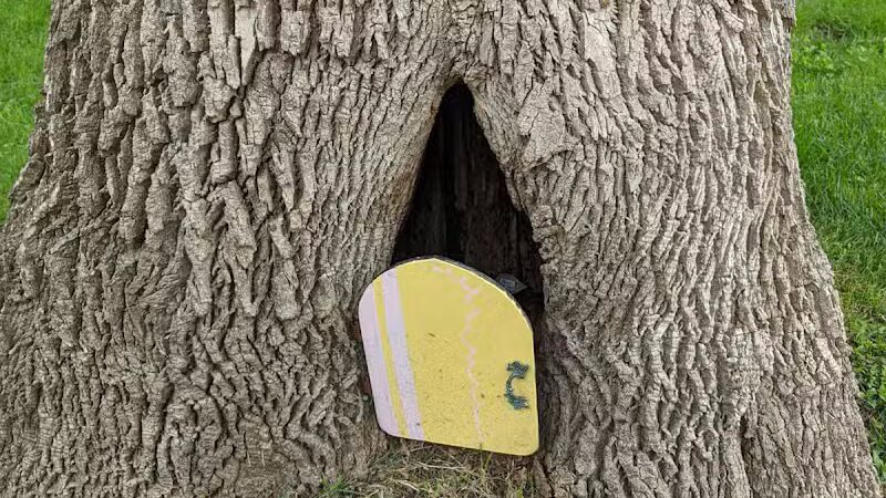 Green Prairie Park - Lenexa, KS