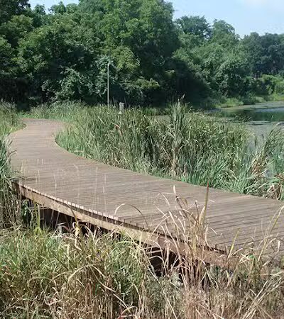 Hidden Woods Park - Lenexa, KS