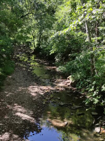 Lackman Park - Lenexa, KS