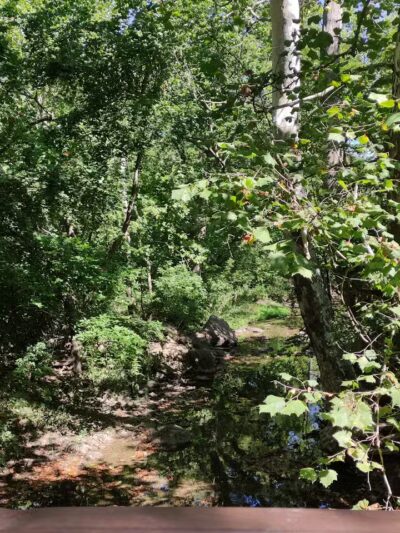 Lackman Park - Lenexa, KS