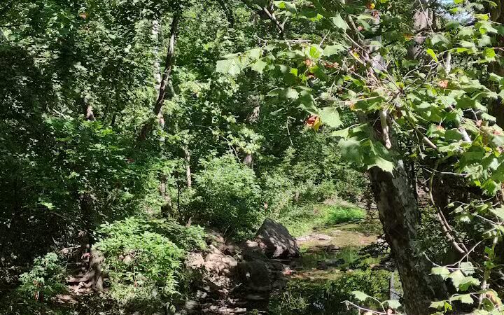 Lackman Park - Lenexa, KS