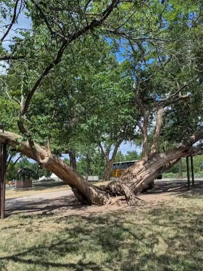 Sar-Ko-Par Trails Park - Lenexa, KS