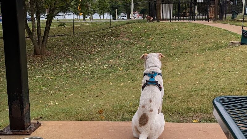 Dog Park - Lenoir City, TN