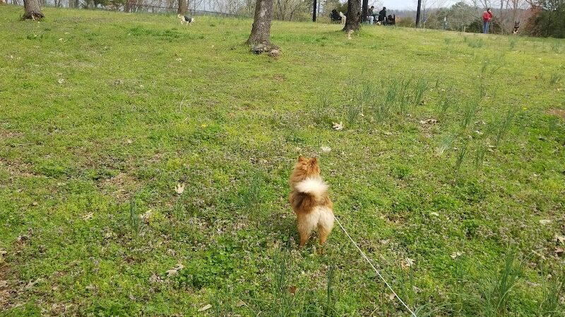 Dog Park - Lenoir City, TN