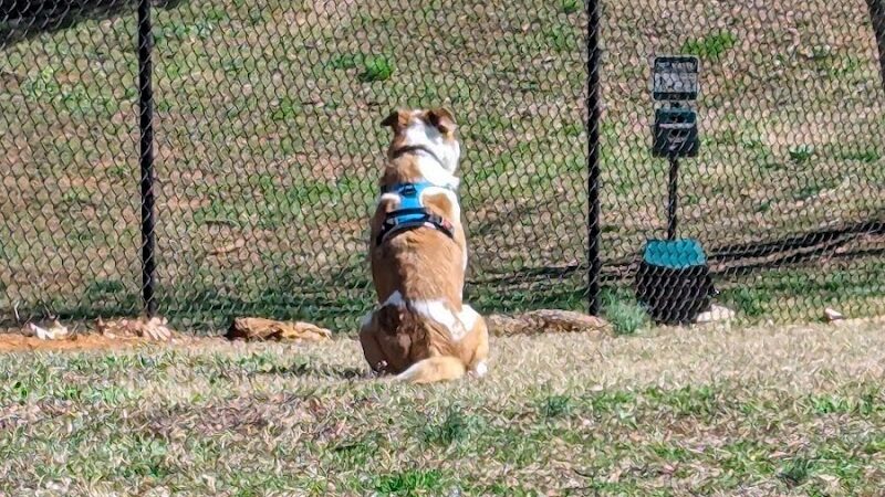 Dog Park - Lenoir City, TN