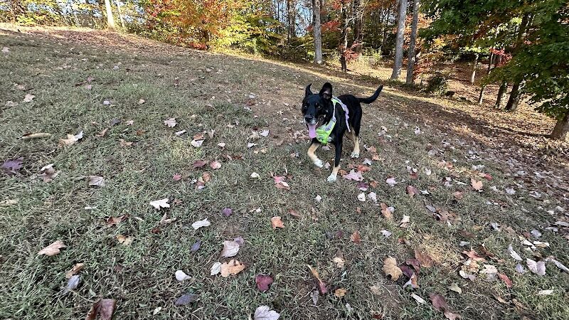 Dog Park - Lenoir City, TN