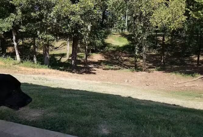 Dog Park - Lenoir City, TN