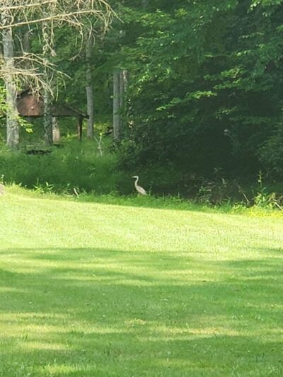 Laurel Lake Park - Lenore, WV