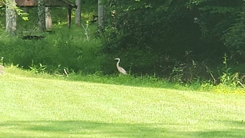 Laurel Lake Park - Lenore, WV