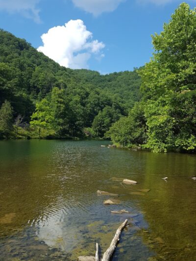 Laurel Lake WMA - Lenore, WV