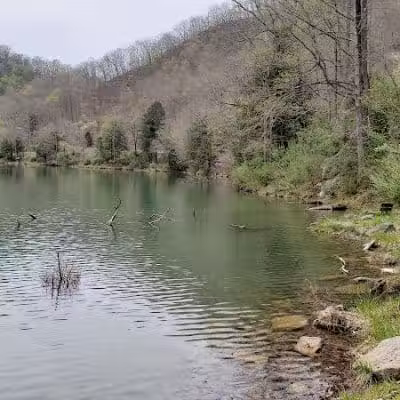Laurel Lake WMA - Lenore, WV