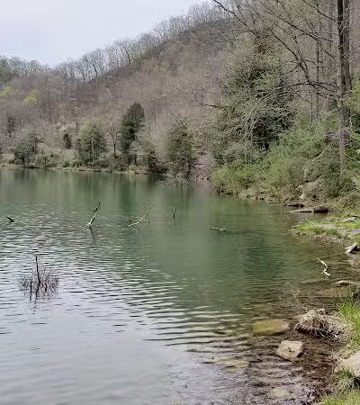 Laurel Lake WMA - Lenore, WV