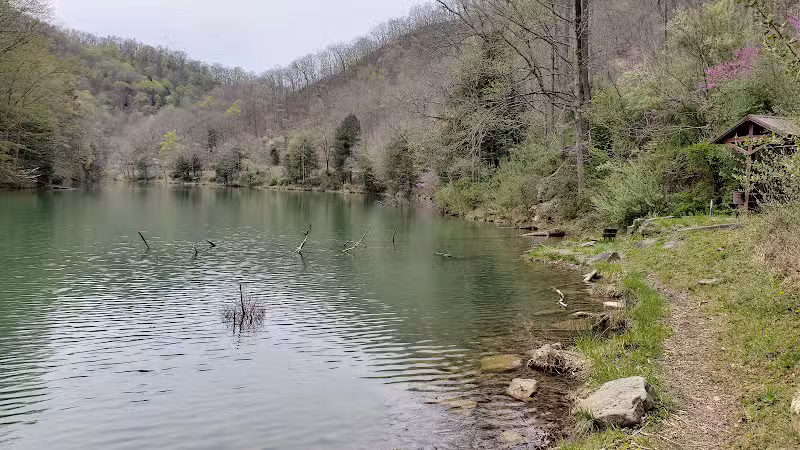 Laurel Lake WMA - Lenore, WV