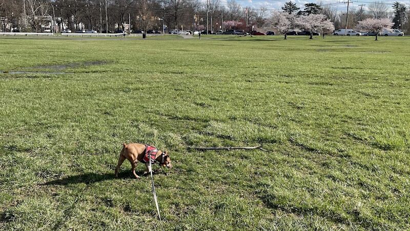 Overpeck Dog Park - Leonia, NJ