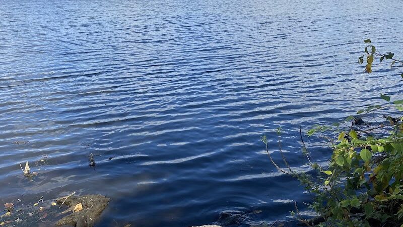 Overpeck Dog Park - Leonia, NJ