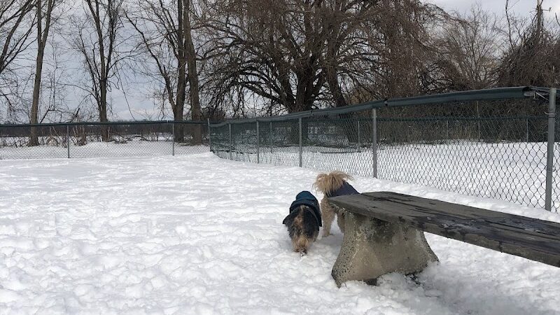 Overpeck Dog Park - Leonia, NJ