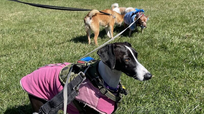 Overpeck Dog Park - Leonia, NJ