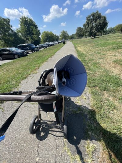 Overpeck Dog Park - Leonia, NJ