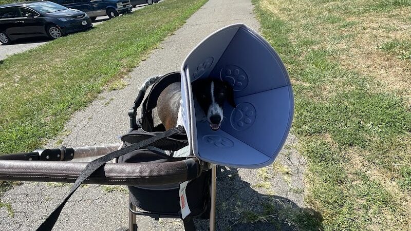 Overpeck Dog Park - Leonia, NJ