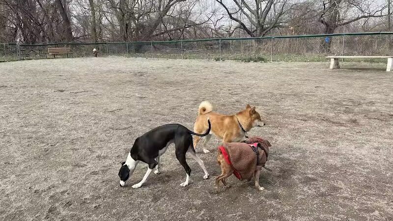 Overpeck Dog Park - Leonia, NJ