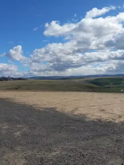 Eagle Scout Dog Park