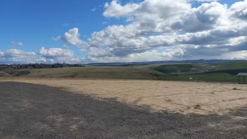 Eagle Scout Dog Park